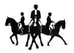 Dressage Image Dressage Image